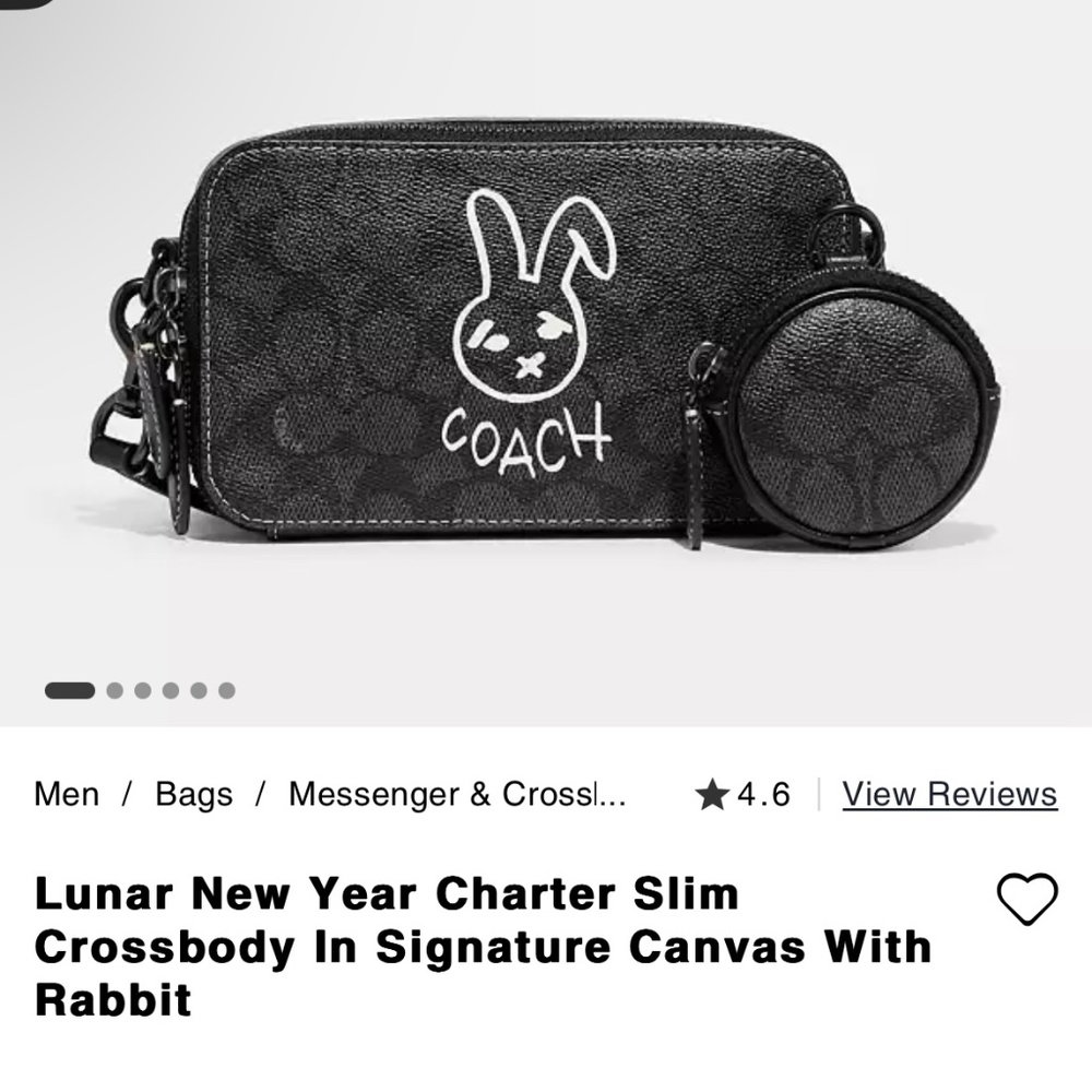 ISO Coach Lunar New Year Slim Charter